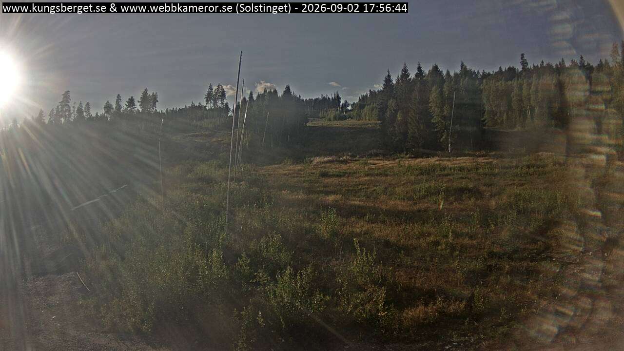 Solstinget
