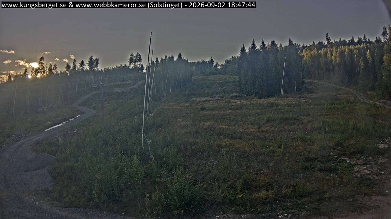 Solstinget