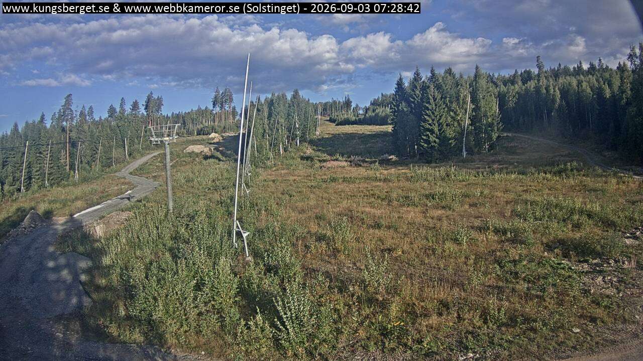 Solstinget