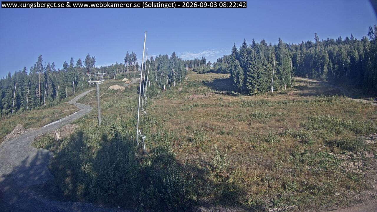 Solstinget