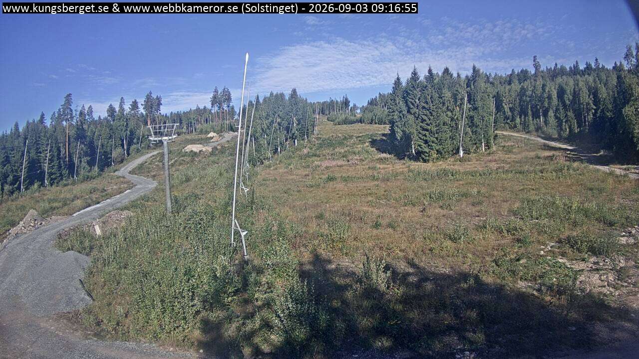 Solstinget