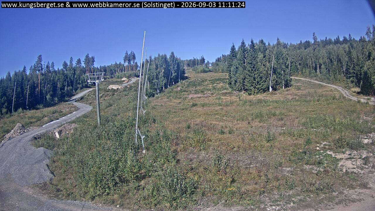 Solstinget