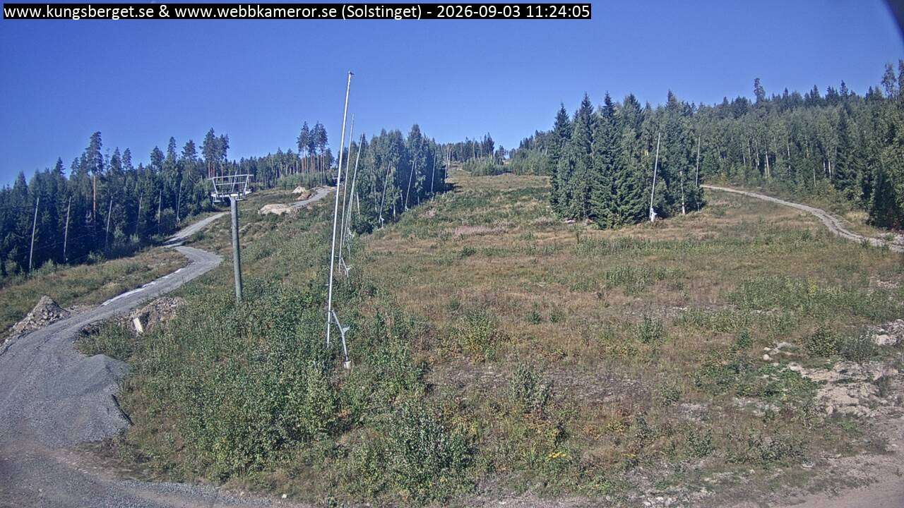 Solstinget