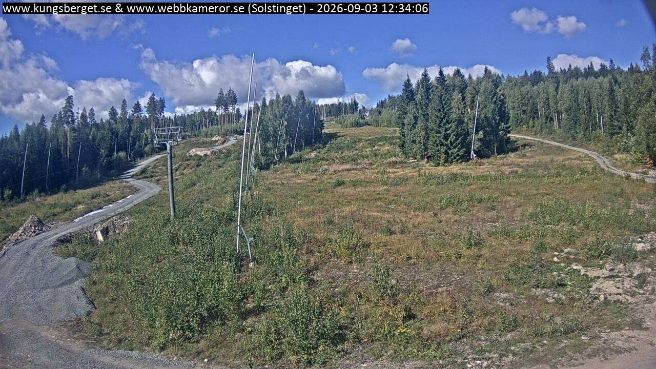 Solstinget