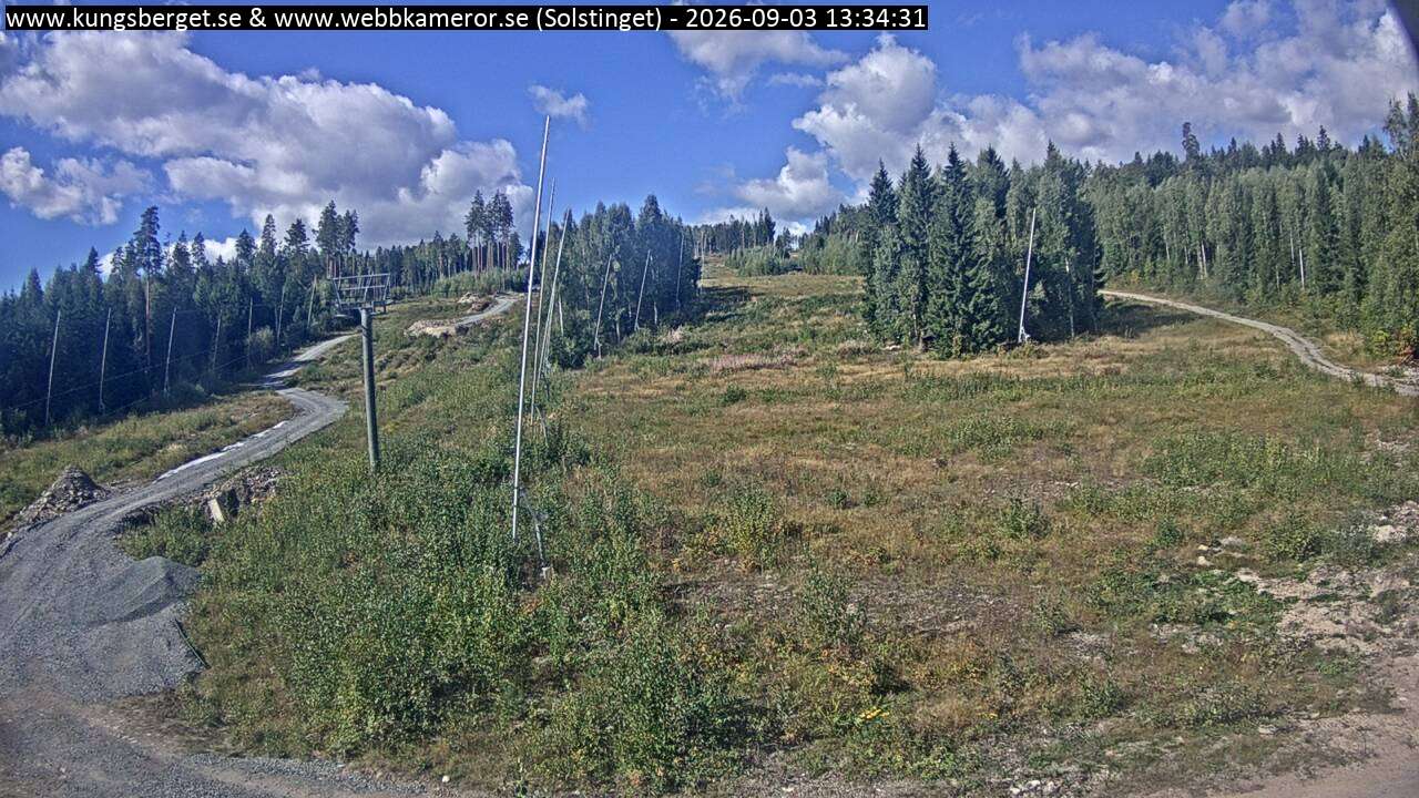 Solstinget