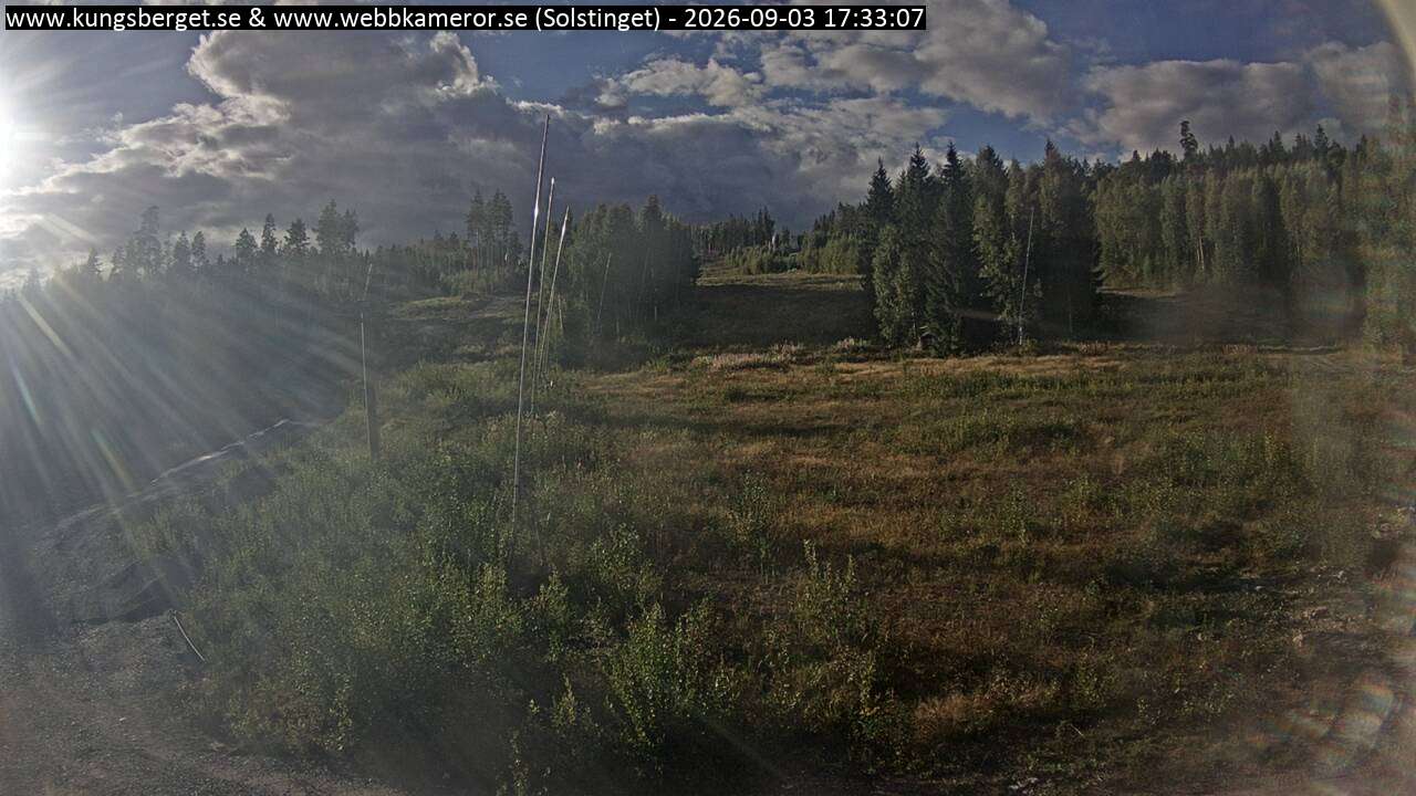 Solstinget