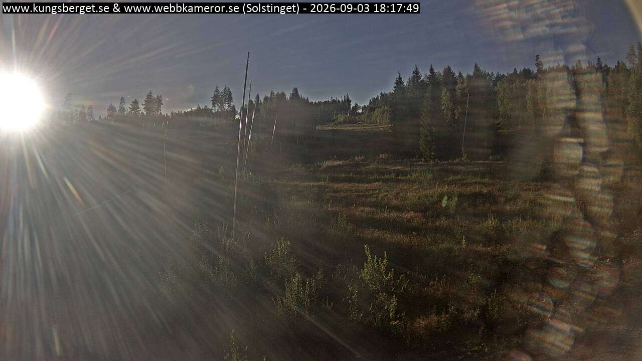 Solstinget