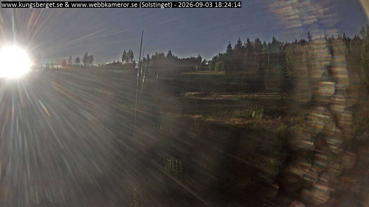 Solstinget