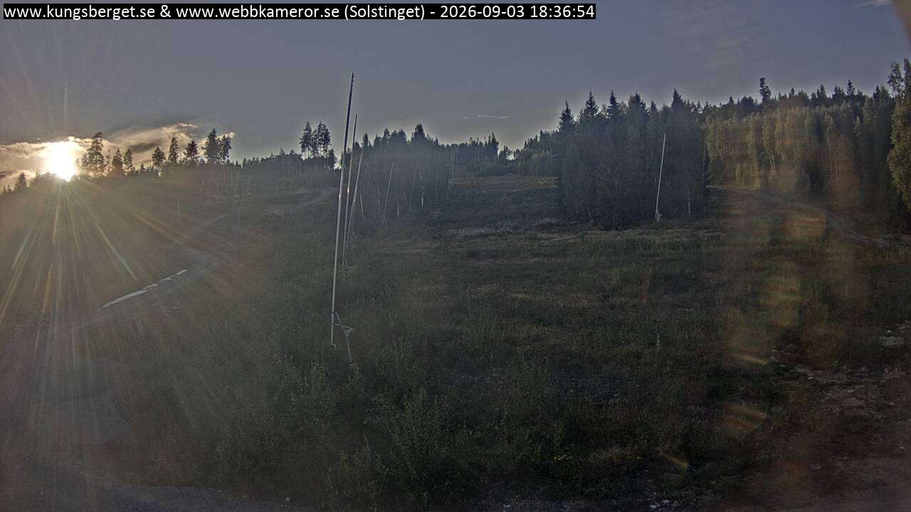 Solstinget