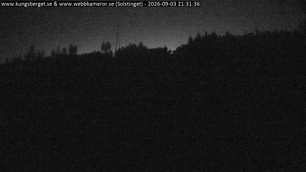Solstinget