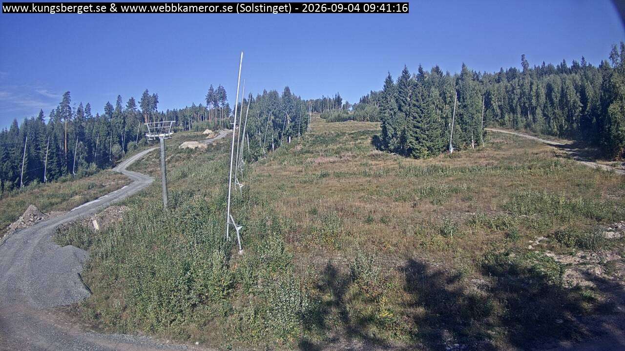 Solstinget