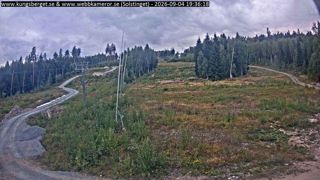 Solstinget