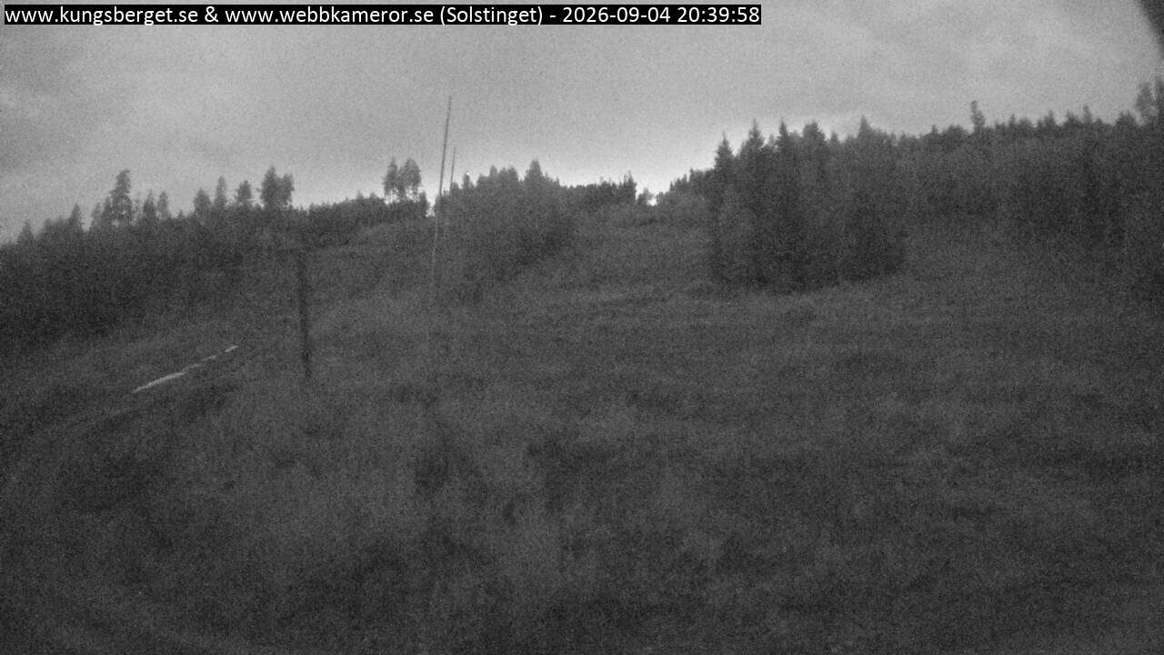 Solstinget