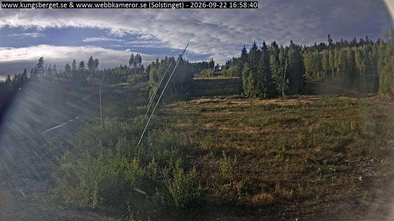 Solstinget
