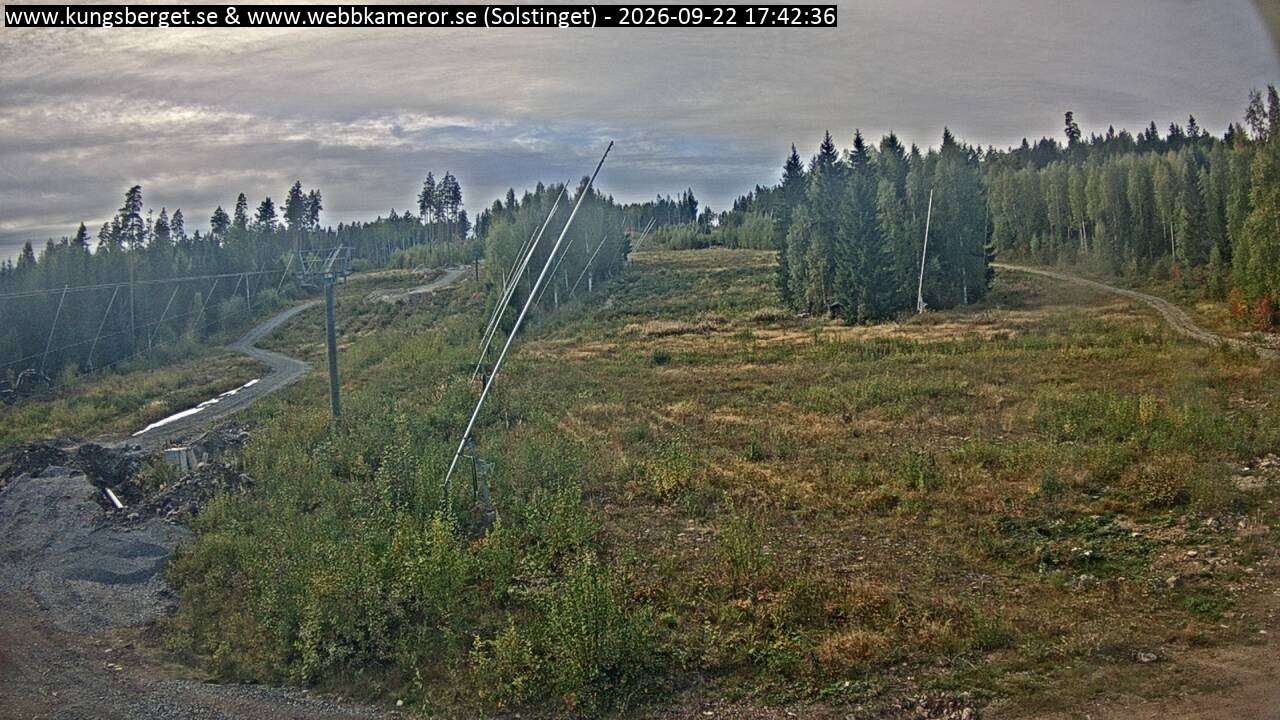Solstinget