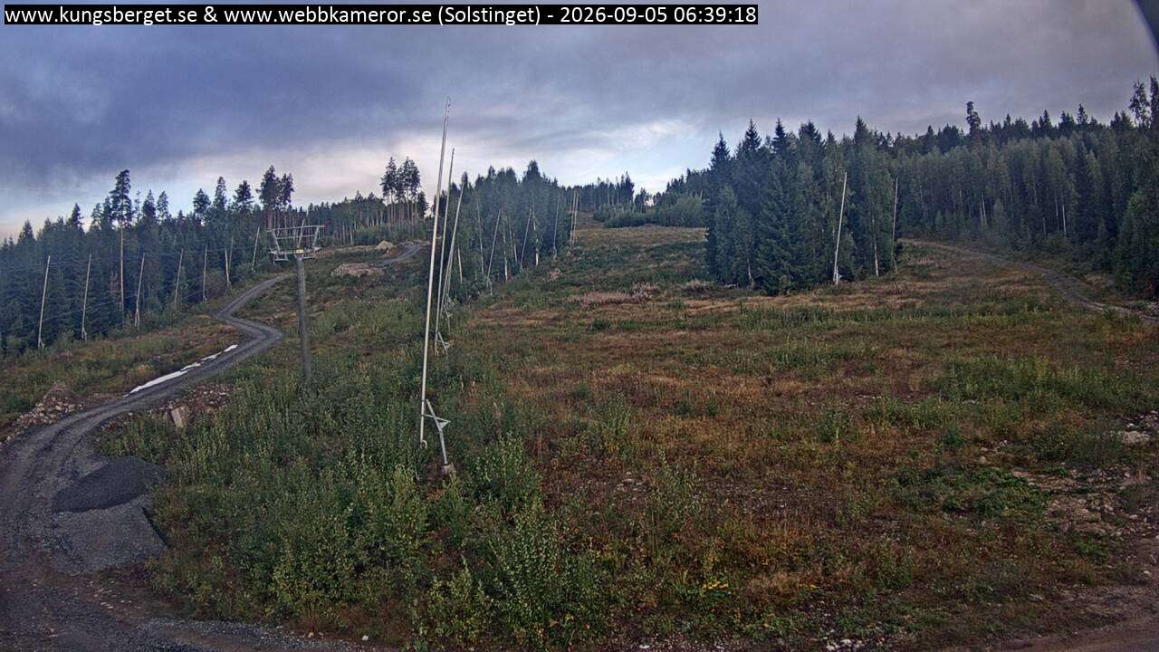 Solstinget