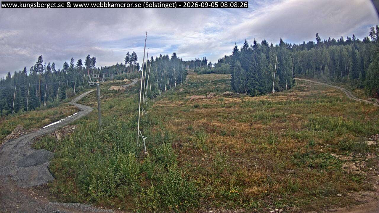 Solstinget