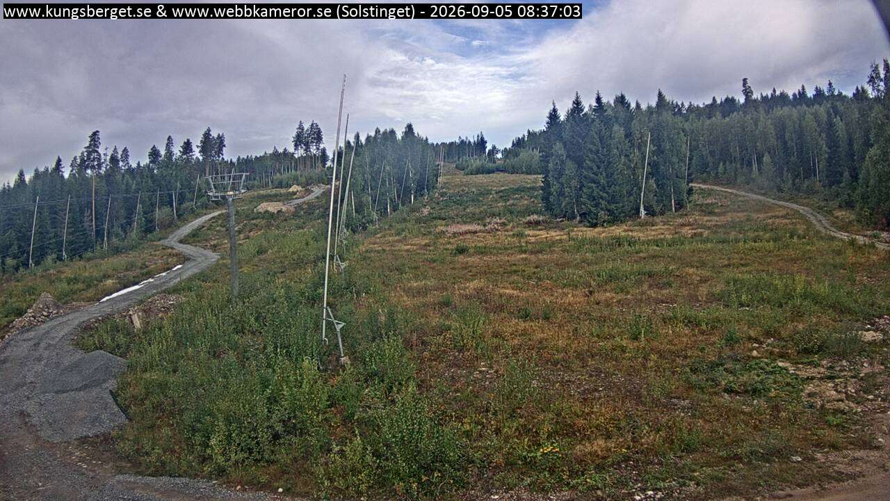 Solstinget