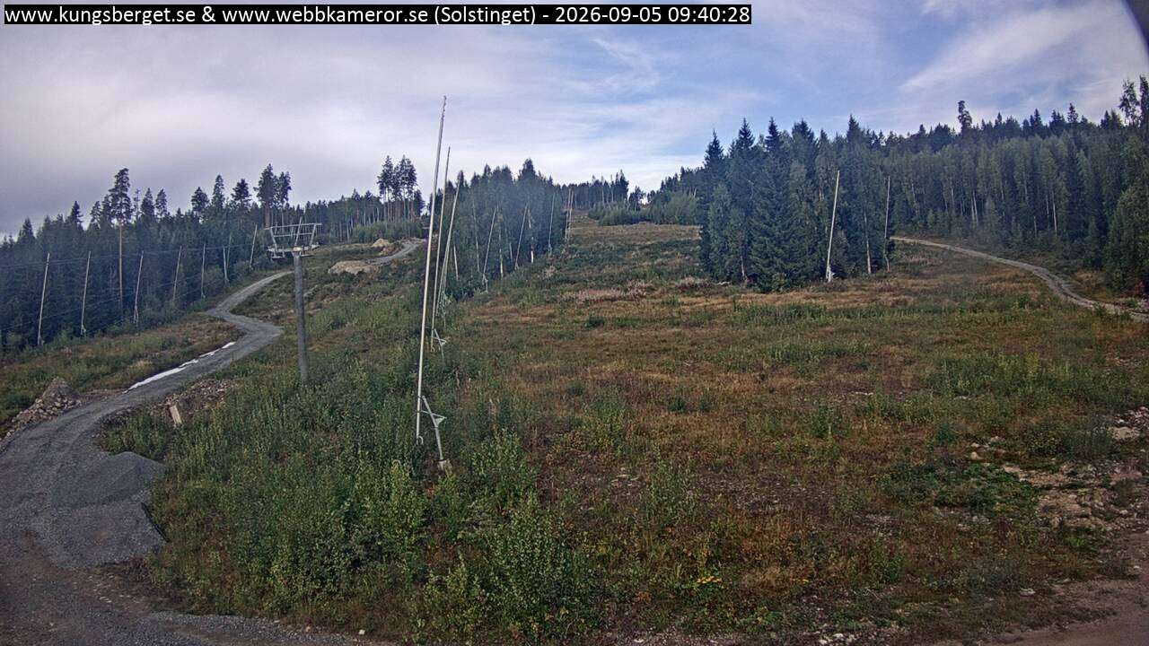Solstinget