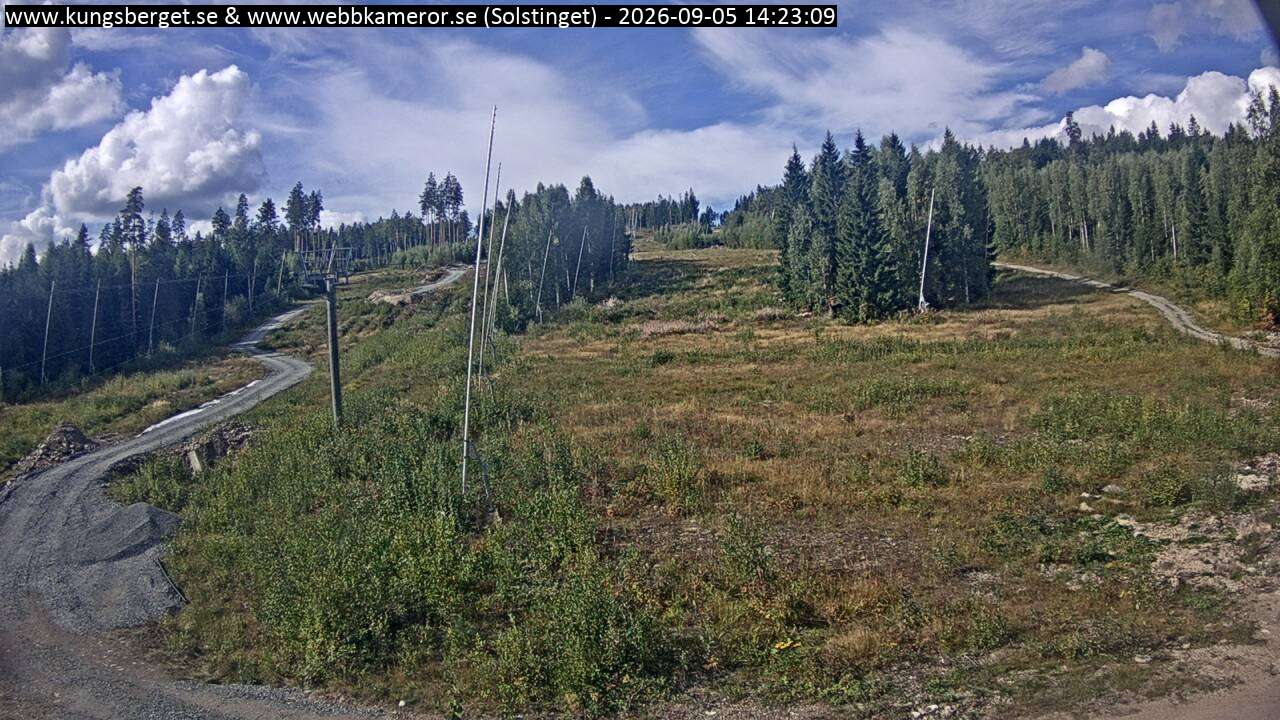 Solstinget
