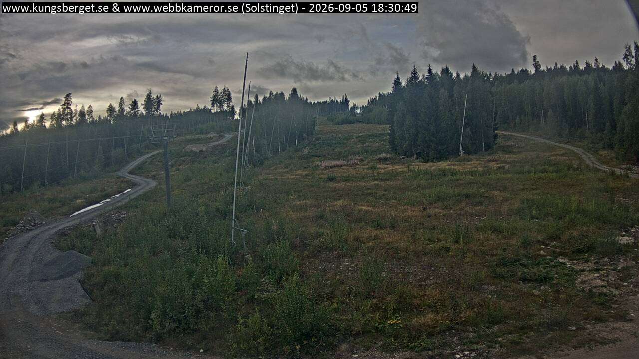 Solstinget