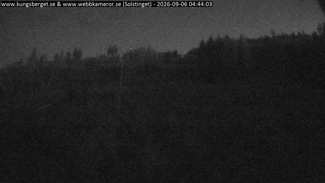 Solstinget