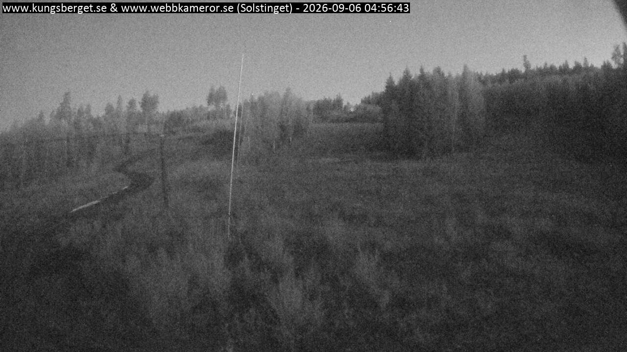 Solstinget