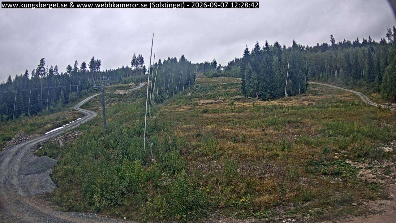 Solstinget