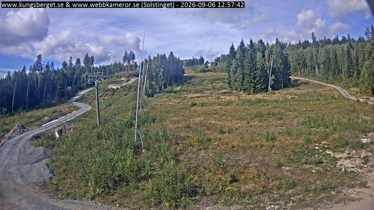 Solstinget