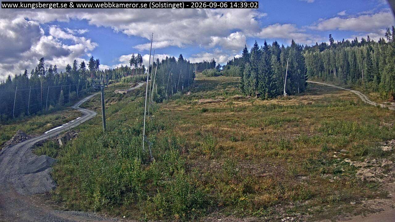 Solstinget