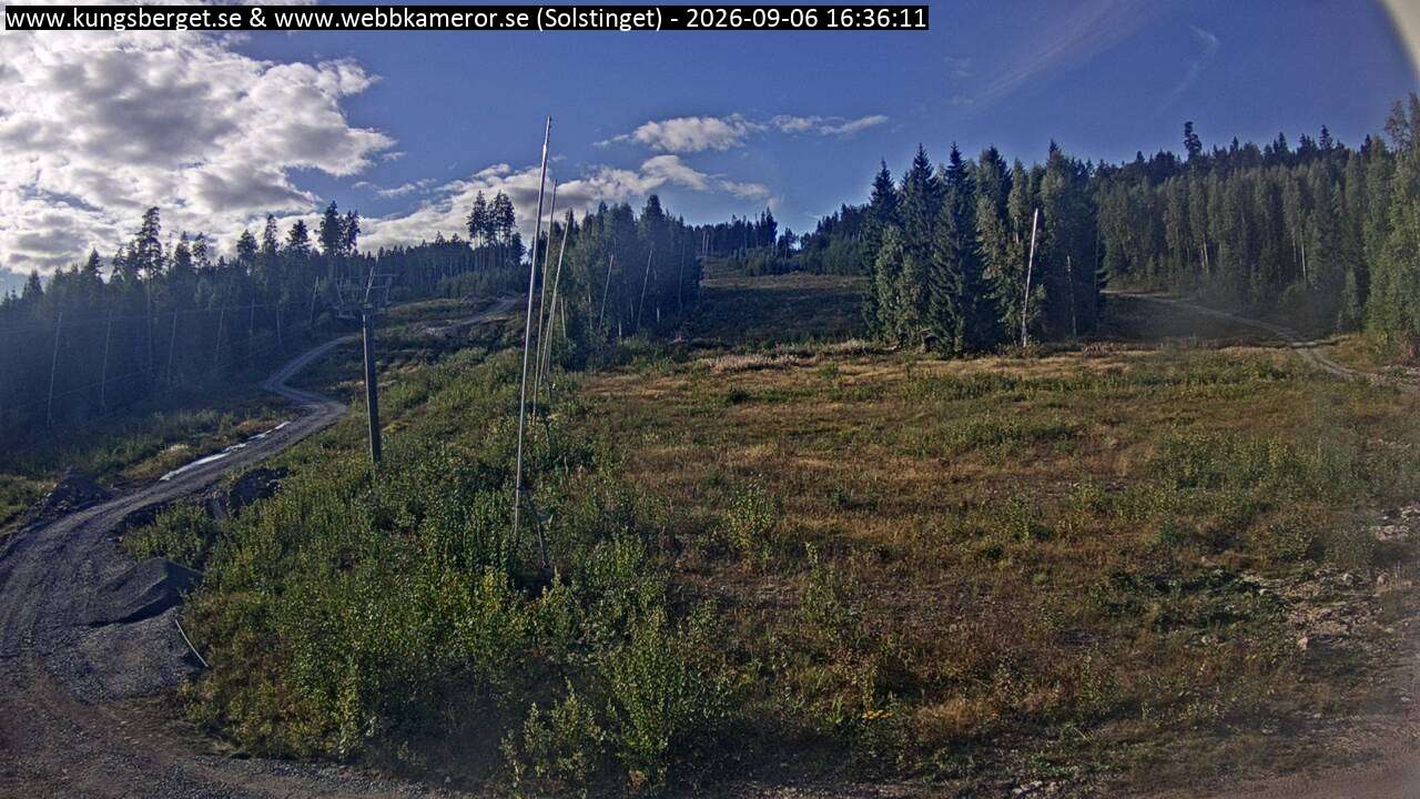 Solstinget