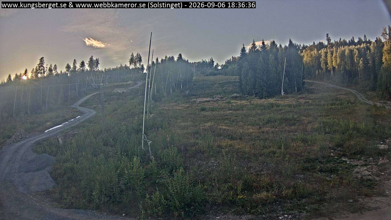 Solstinget