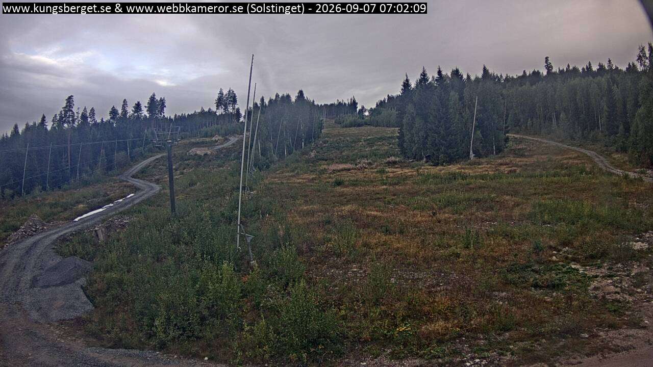 Solstinget