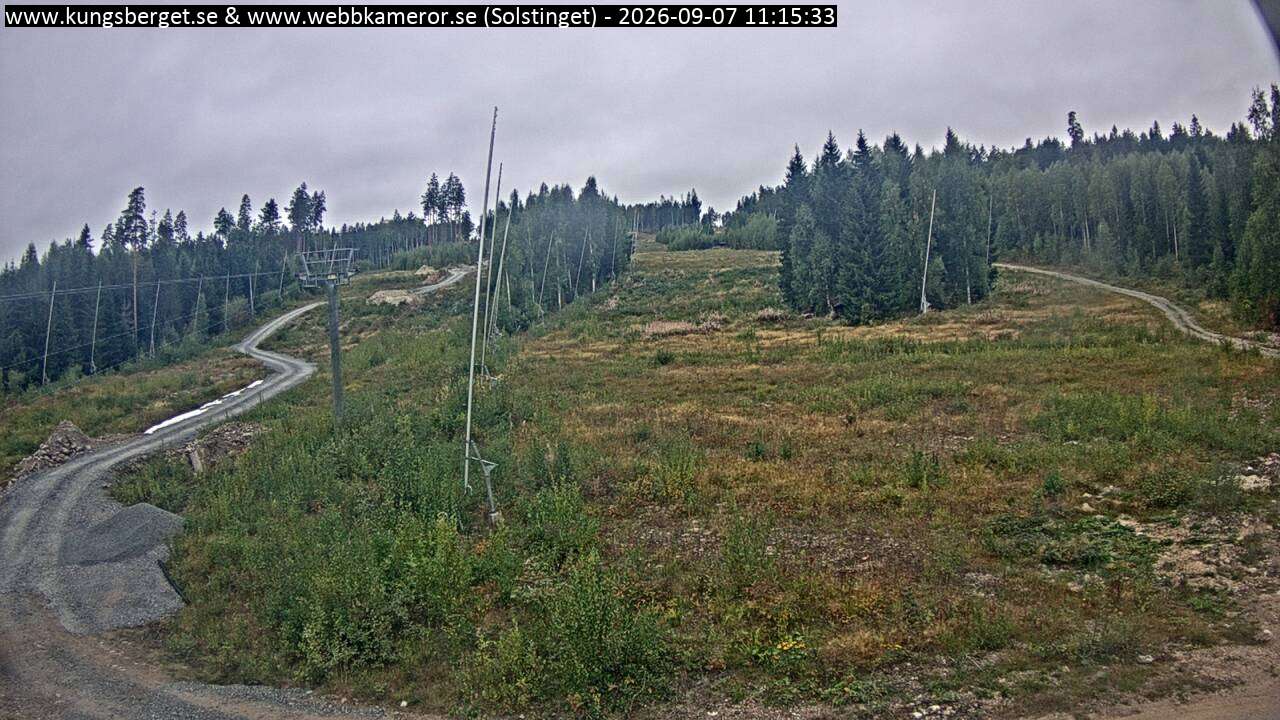 Solstinget