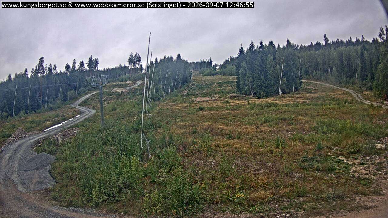 Solstinget