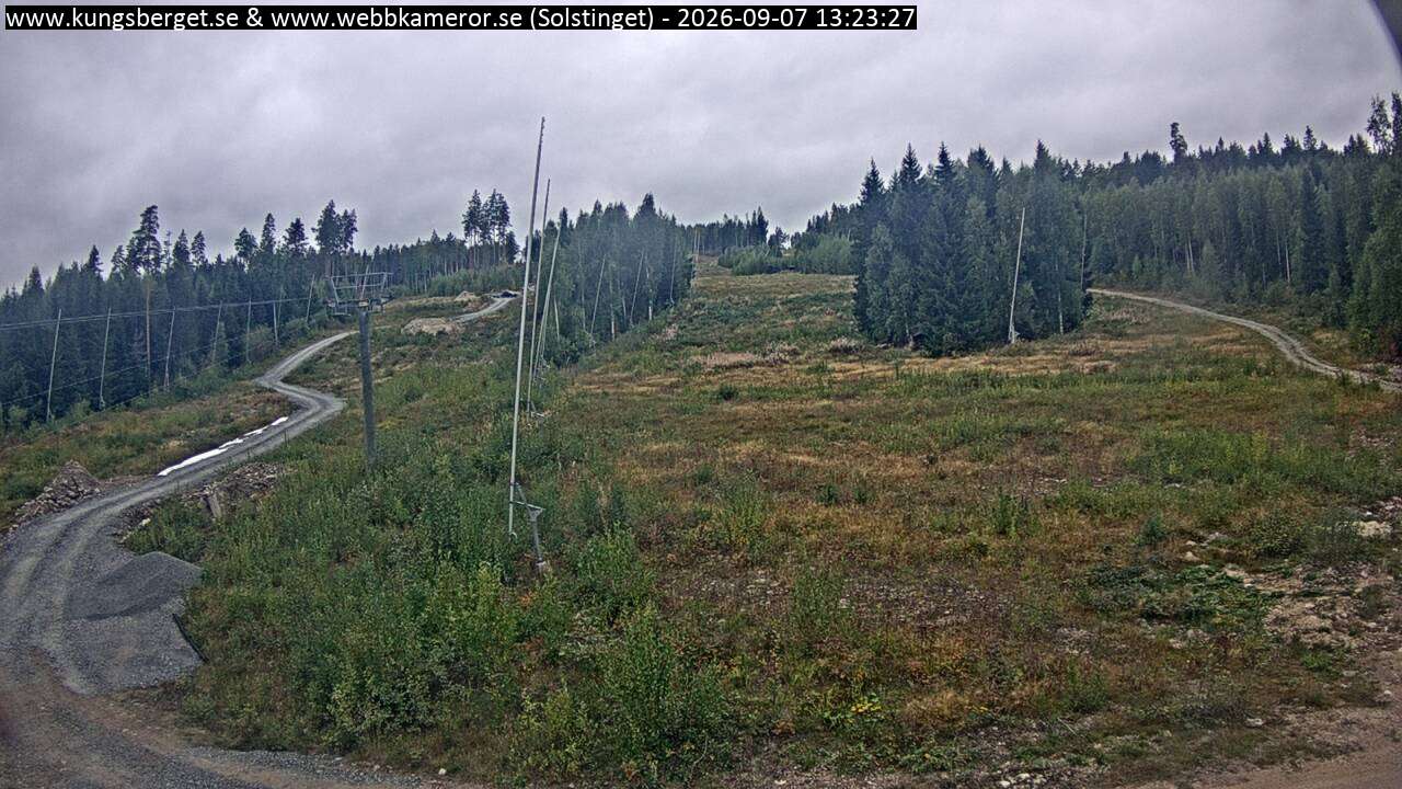 Solstinget