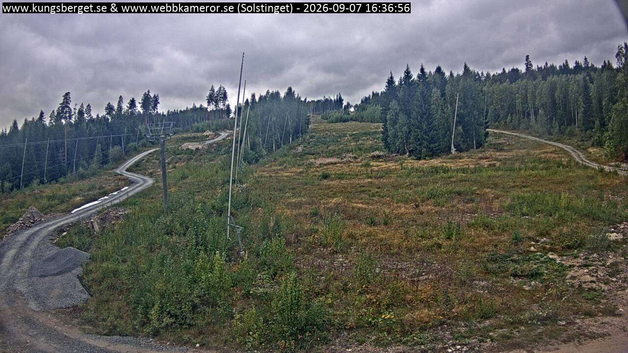 Solstinget