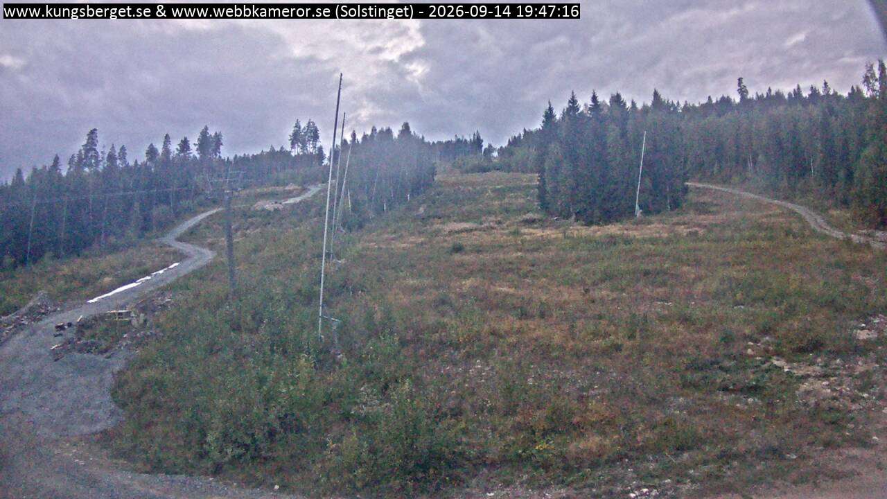 Solstinget