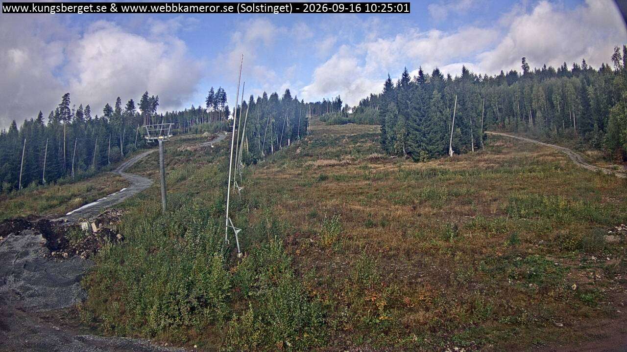 Solstinget