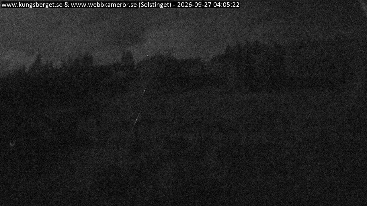 Solstinget