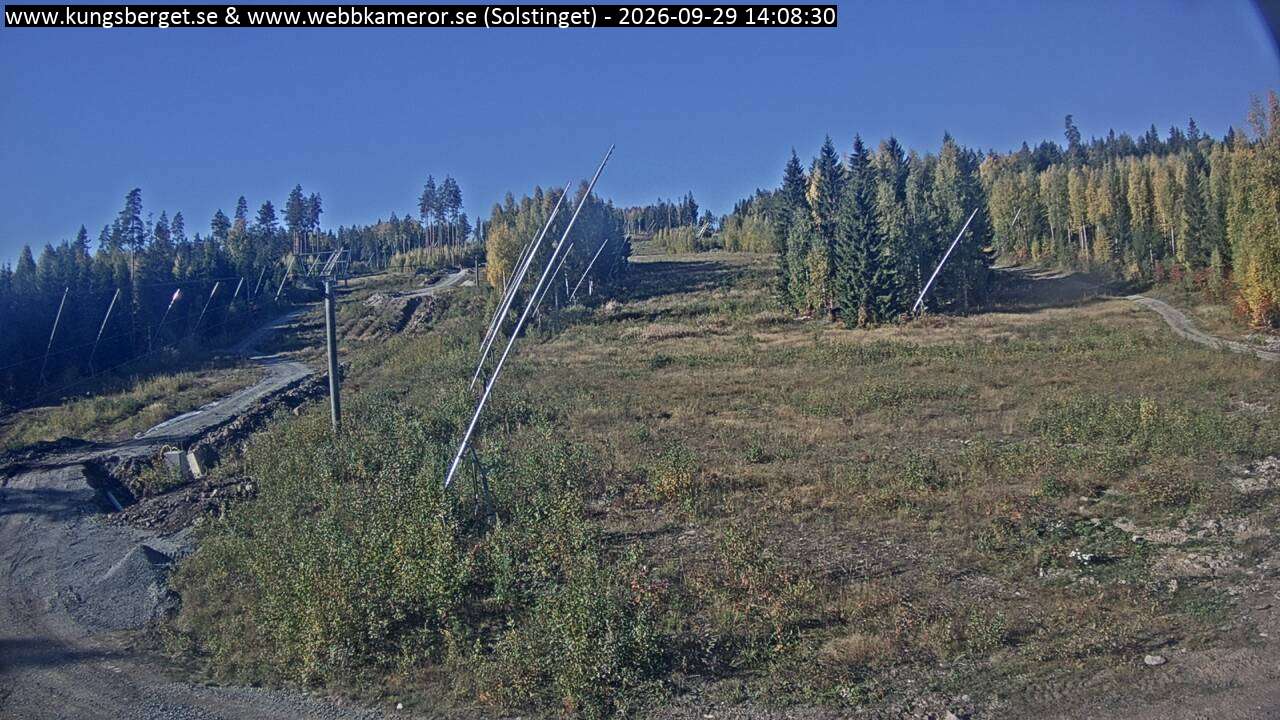 Solstinget