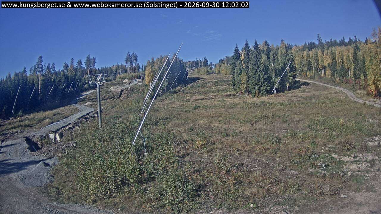 Solstinget