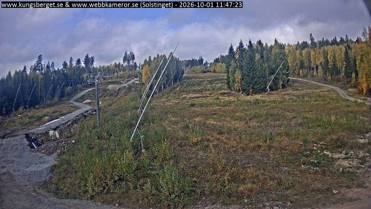 Solstinget