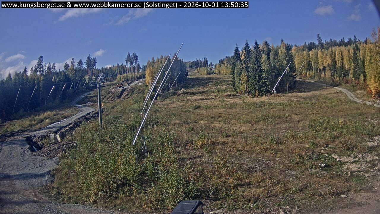 Solstinget