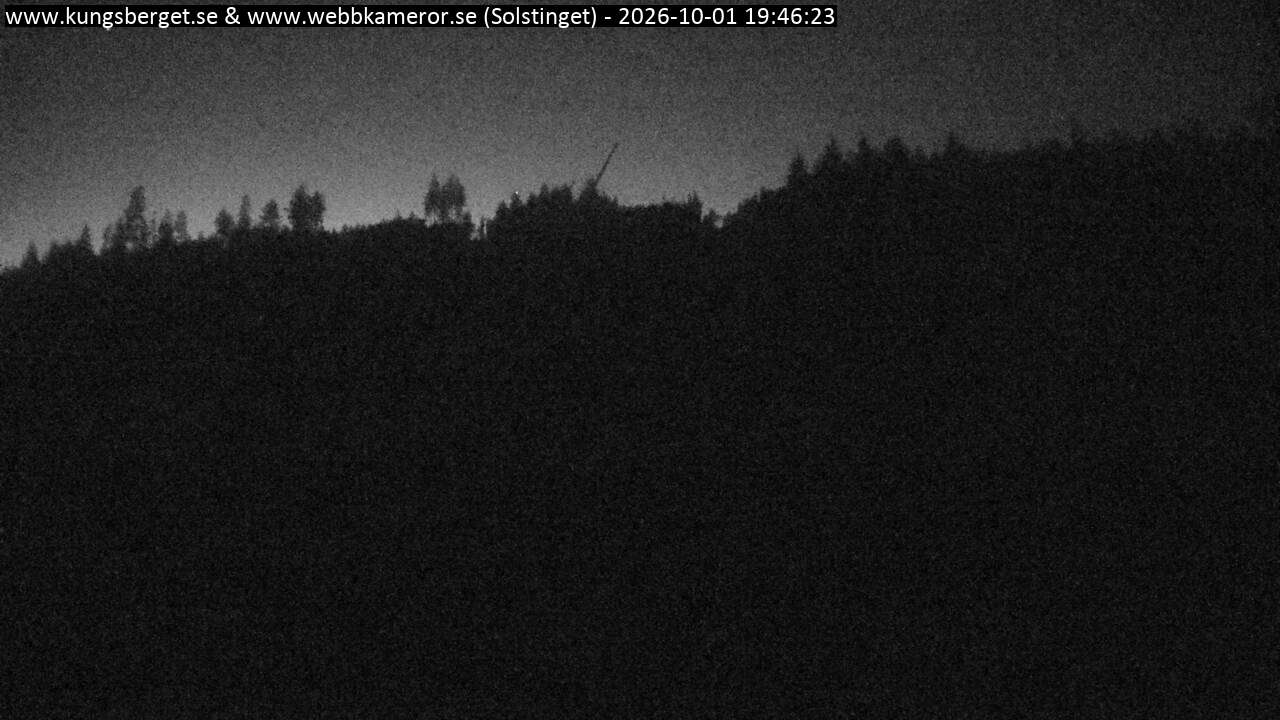 Solstinget