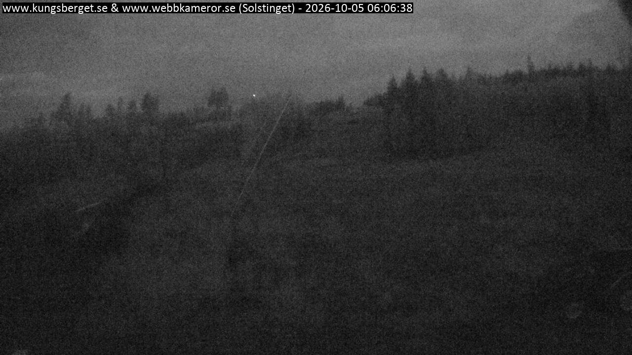 Solstinget