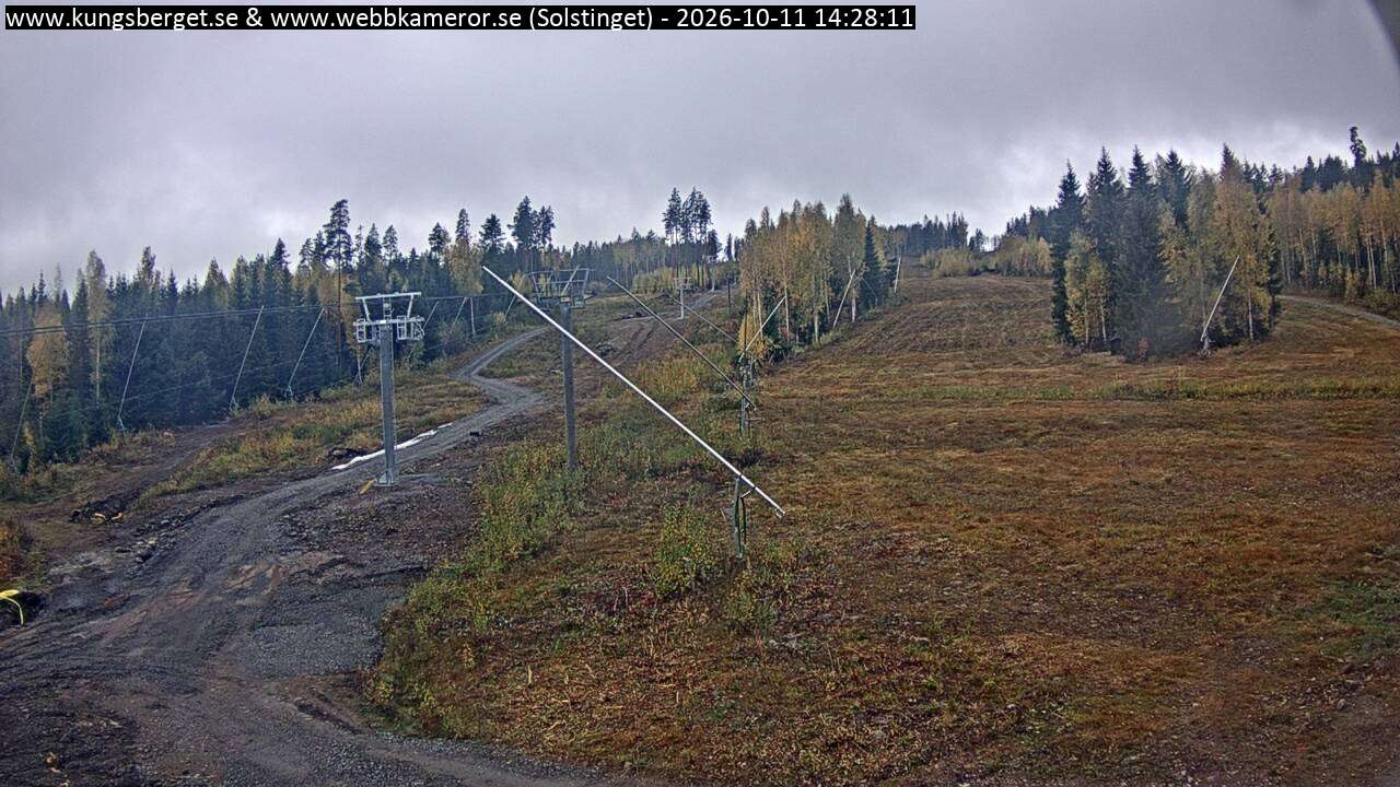 Solstinget