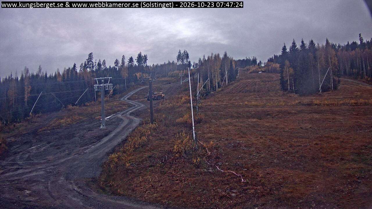 Solstinget