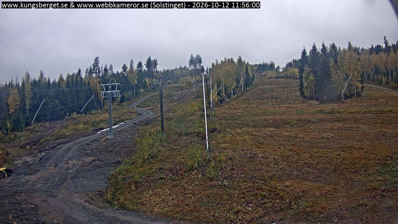 Solstinget