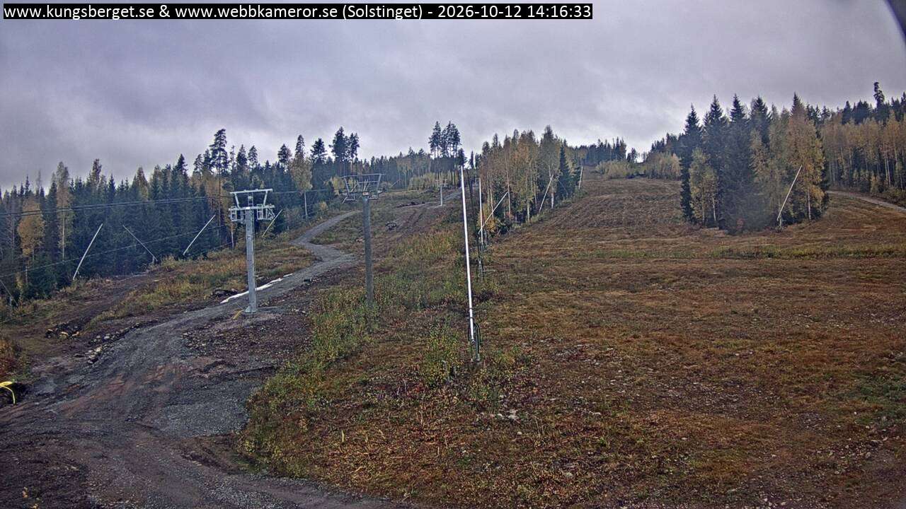 Solstinget
